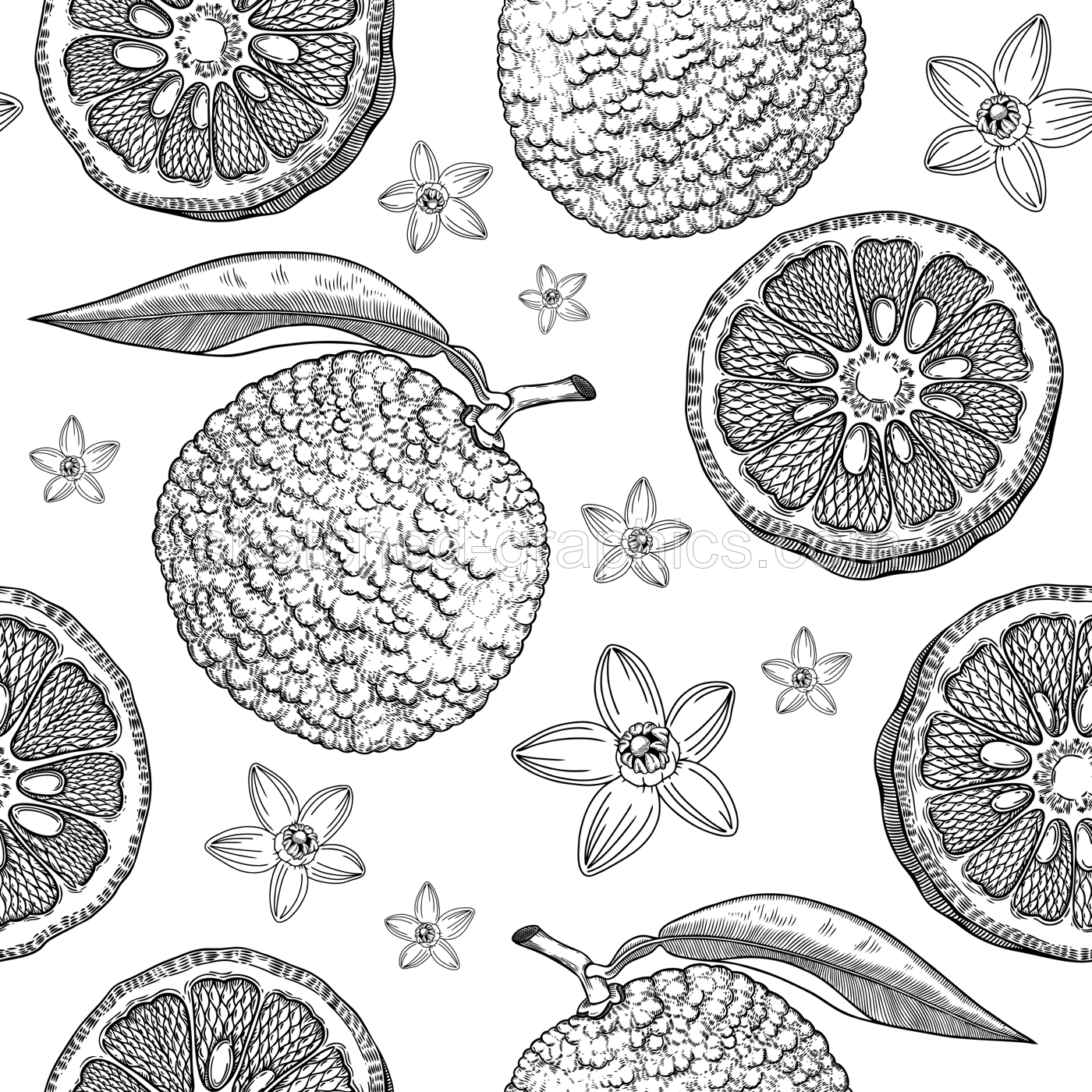 Sketched yuzu background with decorative fruit, leaves, and flowers in engraving style. Hand-drawn citrus plant seamless pattern. Asian citron botanical design for print.  Illustration